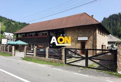 Pensiune in Muntii Apuseni 10 camere 1007 mp teren - 2