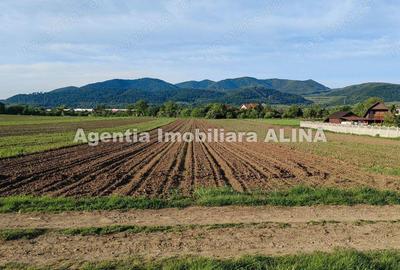 Teren de 4094 mp, în Șoimuș - 6