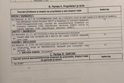 Teren agricol extravilan de 2500 mp, în Dragomirești-Vale - 4