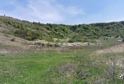 Teren autorizat pe Valea Garboului, Floresti limita Cluj, Intravilan-UL1, 707mp Teren autorizat pe Valea Garboului, Floresti limita Cluj, Intravilan-UL1, 707mp - 7