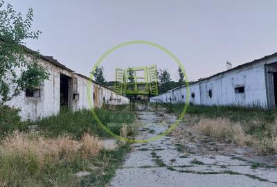 Spațiu industrial, de 7,000 mp, în Pielești - 4