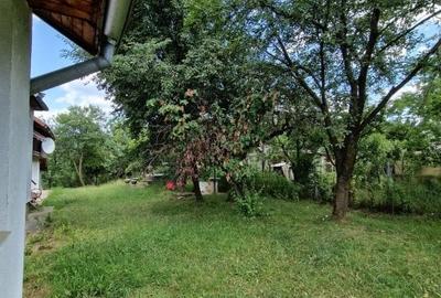 Balilesti - Stradal, casa spatioasa, 4600 mp teren intravilan - curte spatioasa - 22