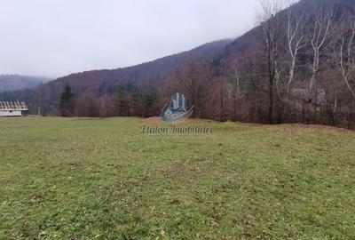Teren Straja - Pangarati 3560 m, zona de Pensiune Teren Straja - Pangarati 3560 m, zona de Pensiune - 2