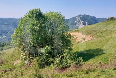 Teren extravilan pentru cabana, 3800 mp, zona-Ramet Transapuseana - 3