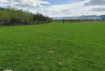 Spațiu comercial, în Brădet - 3