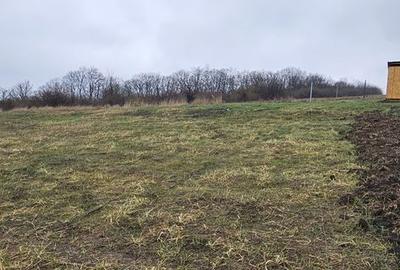 Spațiu comercial, în Chicerea - 2