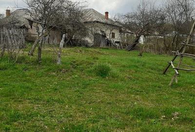 Casa de vanzare Cerbureni Arges - 7