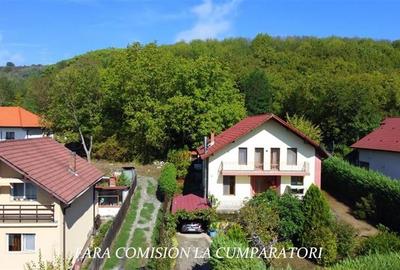 CASA CU SUPRAFETE GENEROASE, TEREN 680 MP - 3