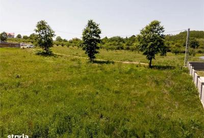 Teren de 600 mp, în Paleu - 13