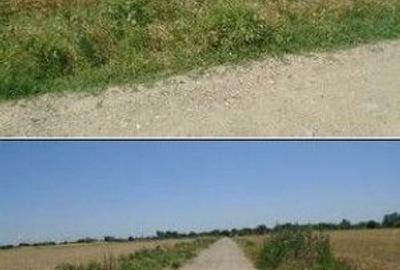 Teren de 5700 mp, în Domnești - 7