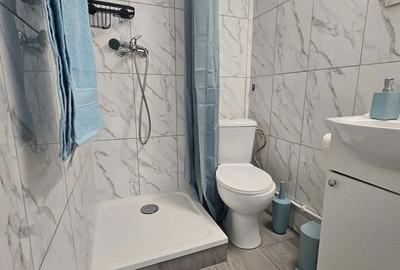 Garsoniera mica de inchiriat, Oradea, Rogerius! - 5