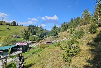 Casă individuală cu 3 camere cu Garaj în Dorna-Arini - 46