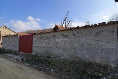 Teren de 1800 mp, în Ciclova Română - 12