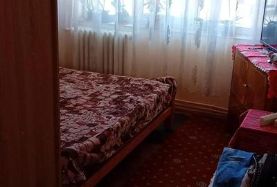 Apartament cu 2 camere decomandat în Aradul Nou - 10