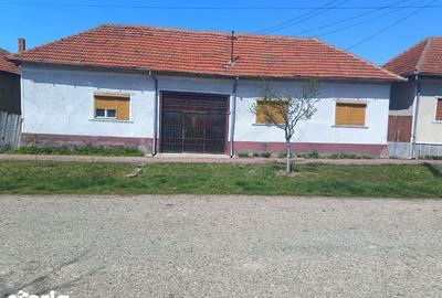 Casă cu 3 camere cu Teren 1420 Mp în Central - 4