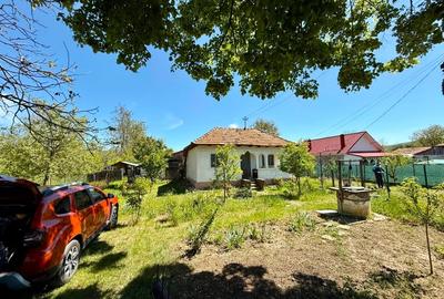 Casă de vânzare cu teren - 11