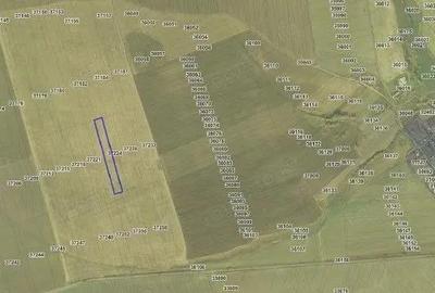 Teren extravilan cota parte 3/24, Nalbant ; ID: R2827364 - 6