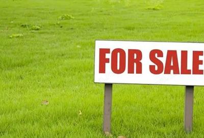 Teren de 2600 mp, în Volovăț