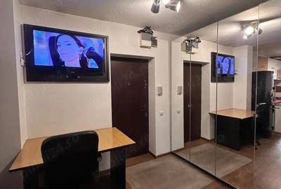 Apartament cu 2 camere semidecomandat în Parcul Carol - 4