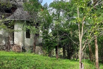 Conac situat in Breaza cu 2340 mp teren Conac situat in Breaza cu 2340 mp teren - 4