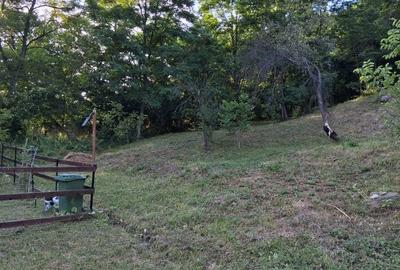 Spațiu comercial, în Slănic - 2