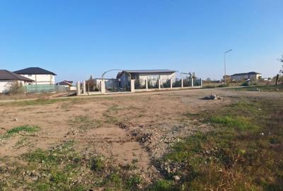 Spațiu comercial, în Ișalnița - 4