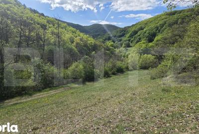 Teren de 9083 mp, în Meteș - 13
