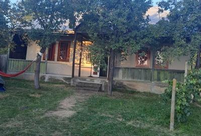 Casă cu 2 camere cu Teren 3200 Mp în Negri - 2