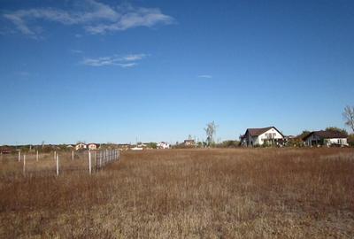 Teghes-Caragea Voda - 18