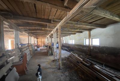 Teren intravilan cu grajduri si anexe Aninoasa AG - 2