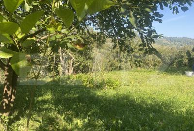 Teren de 3880 mp, în Central - 5