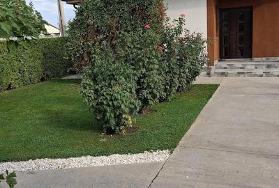 Casă cu 2 camere cu Teren 800 Mp în Șendreni - 1