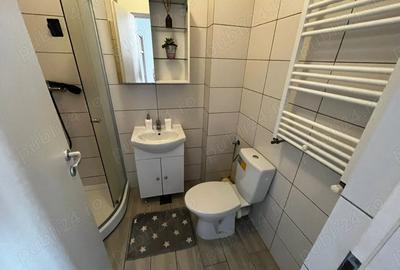 Gars de inchiriat in Grozavesti ,zona Pui de Urs - 3