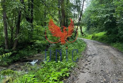 18000 mp de natura pura ,Lupeni, langa Straja - 11