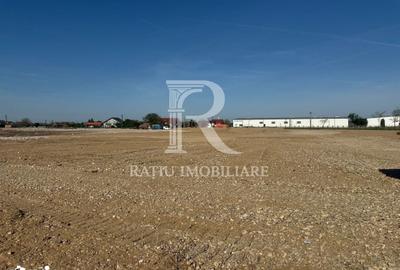 Teren de 10000 mp, în Sânmartin