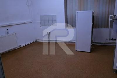 Casă individuală cu 9 camere cu Canalizare în Iancului - 3