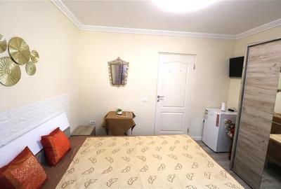 Garsoniera, mobilata modern, zona Iosefin - 2