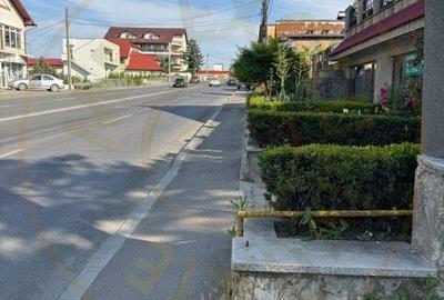 Teren de vanzare - 990 mp -Calea Craiovei, Pitesti ! - 4