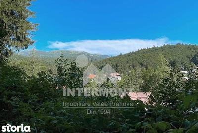 Teren de 278 mp, în Central - 7