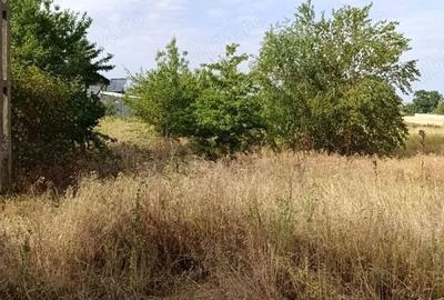 Teren de 1700 mp, în Nanov - 4