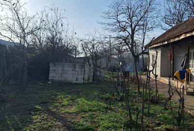 Casă cu 4 camere în Drăgănești-Vlașca - 6