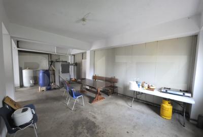 Spa?iu multifunc?ional de vanzare Cetan, Comuna Vad - 11