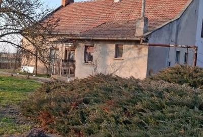 Duplex cu 2 camere cu Teren 1100 Mp în Nădlac - 16