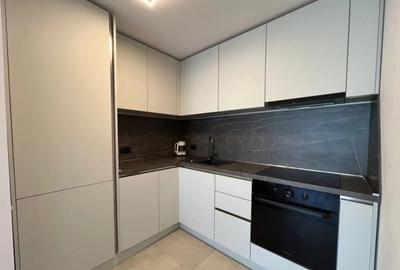Apartament cu 2 camere semidecomandat, mobilat în Herăstrău - 3