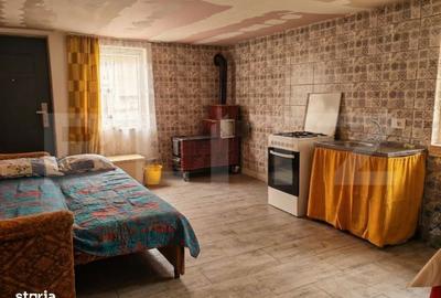 Casă cu 4 camere cu Teren 12186 Mp în Boiu - 6