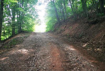 Teren de 42500 mp, în Barbura