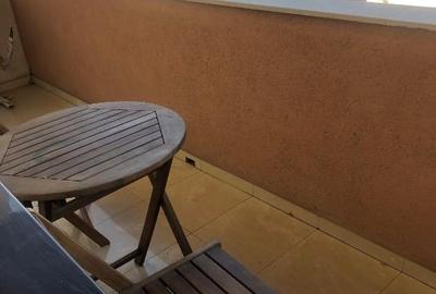Ocazie, Ap 132m2, 1000 mp2, Hanu Visoianu, utilat,cu balcon, 2 locuri de parcare - 8
