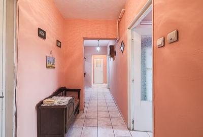 Vedere directă spre faleza Mureșului, disponibil acum Micalaca 300 - 6