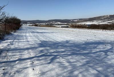 Teren de 550 mp, în Daia - 1