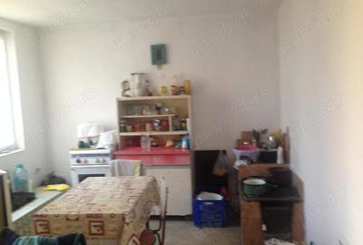 Casă cu 3 camere cu Teren 5000 Mp în Pătlăgeanca - 2